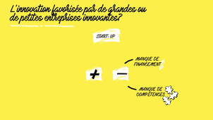 L'innovation favorisée par de grandes ou de petites entreprises ? 