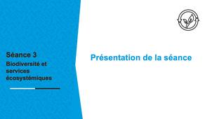seance3-presentation.mp4
