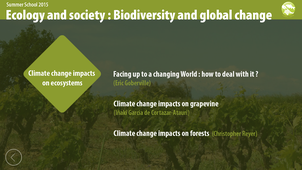 Climate change impacts on forests