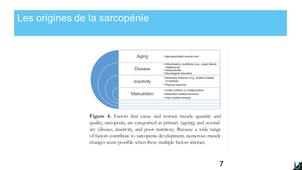 La sarcopénie