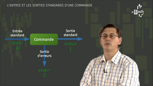 Séquence 2 - Entrées et sorties des processus