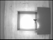 LD 5616.avi