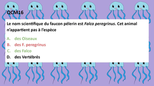 Enregistrement TUTORAT SEMAINE 48