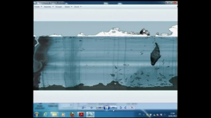 Rencontre avec Julien Béziat, auteur/illustrateur de jeunesse