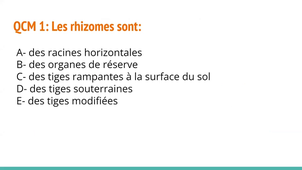 TUTORAT Semaine 6 - UE SDV4 (Code : 2022-SDV4)