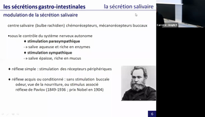 le système digestif, partie 3