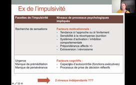 L2-PsychopathoCog-Prouteau-Approche processuelle