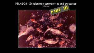 Zooplankton Ecology (Y. del Amo) B. Sautour (3/3) - 4TMR705U - Master MER