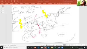 TD Photosynthèse en vidéo