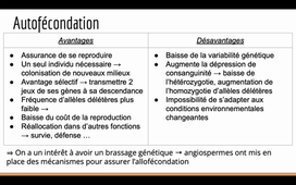TUTORAT SDV4 SEM 10