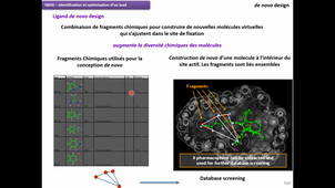 Partie 11 - SBDD - de novo design