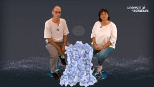 Les courbes dose-réponse en signalisation cellulaire