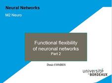 Neural Networks - Plasticity part 2 - Denis COMBES