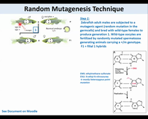 2022 11 17 CAPSULE 3 (EN)