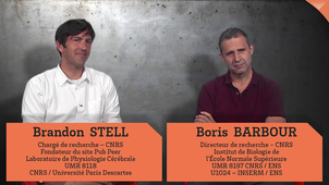 M4-S2-Pub-Peer-Partie-1