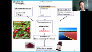 Secondary-Metabolites-1
