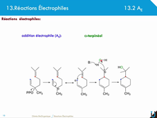 13_reactions_electrophiles