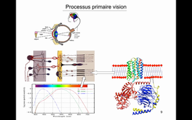Cours-NO-Del Guerzo-2Mars2021