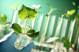 Webinaire Programme Trajectoire des laboratoires.mp4