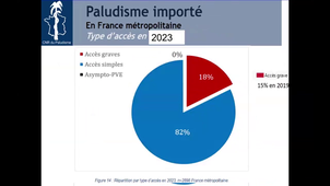 Paludisme démarche diagnostique et stratégie thérapeutique Pr Delhaes Laure.mp4