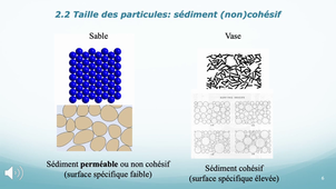 Biogéochimie: propriétés physiques du sédiment