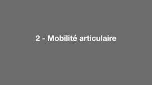 Mobilité articulaire