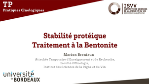 Stabilité protéique / Traitement à la bentonite
