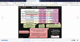 DNO1 - SUPP sequence 1 - intervention Céline Cholet