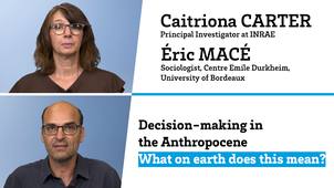 Training course: Decision-making in the Anthropocene