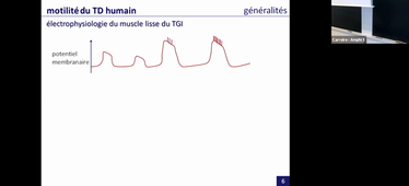 le système digestif, partie 2