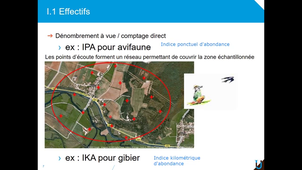 Cours Ecologie Generale - Populations Part1