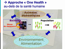 Prévention de l'antibiorésistance, partie 1. C.Dumartin
