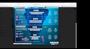 Construire son enseignement : Acquis d'apprentissage et stratégies pédagogiques
