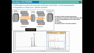 3-TP_TACO_ANALYSES_GCMSMS