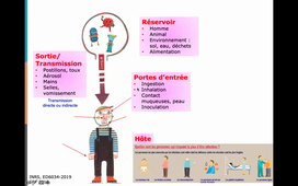 Prévention des infections et de l'antibiorésistance - Service sanitaire