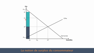 Les notions de surplus du producteur et du consommateur