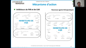 Interactions mécanismes-6