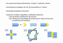 NCV-Del Guerzo-Chap1.1-1.2