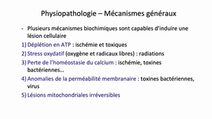 Lésions élémentaires des cellules, tissus et organes_B_Chauveau.mp4