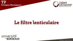 Filtre lenticulaire