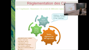 Reglementation-Synadiet-1