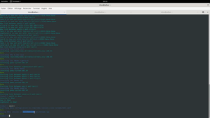 BUT INFO - Utilisation du système de réseau virtuel nemu-vnet