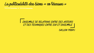 La particularité des biens en réseau 
