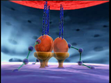 HIV-Targeting Replication