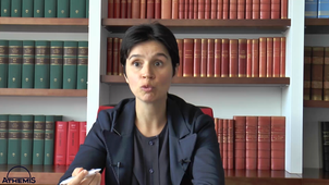 Les avocats aux conseils compétences missions formations