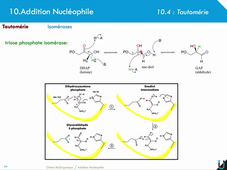 10_Addition Nucléophile : partie 2