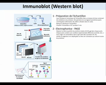 20221001 CAPSULE 2 - WB