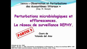 Perturbations microbiologiques_Y.delAmo_2020_part2
