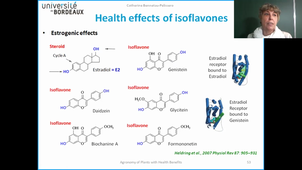 Isoflavones-Legumes-Health-5
