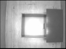 LD 5556.avi